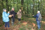 20211009 Foret de Camors AMPM (10)